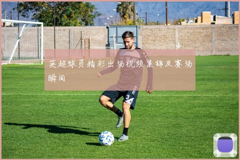 英超球员精彩出场视频集锦及赛场瞬间