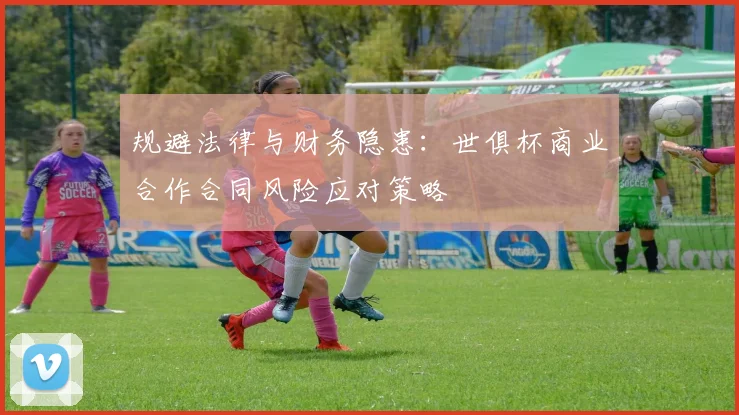 规避法律与财务隐患：世俱杯商业合作合同风险应对策略