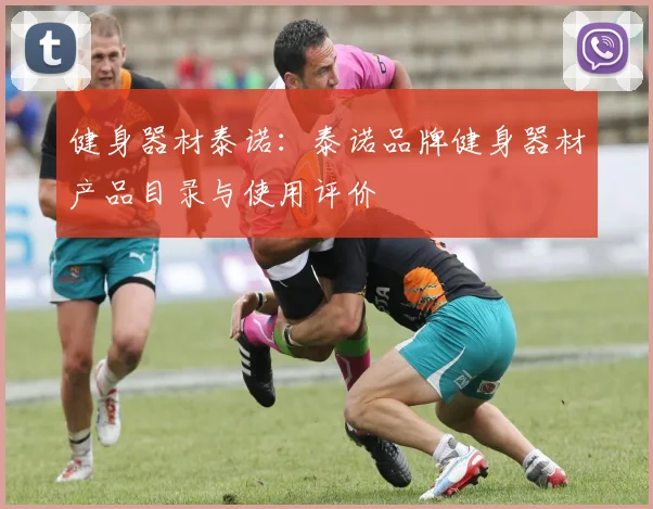 健身器材泰诺：泰诺品牌健身器材产品目录与使用评价