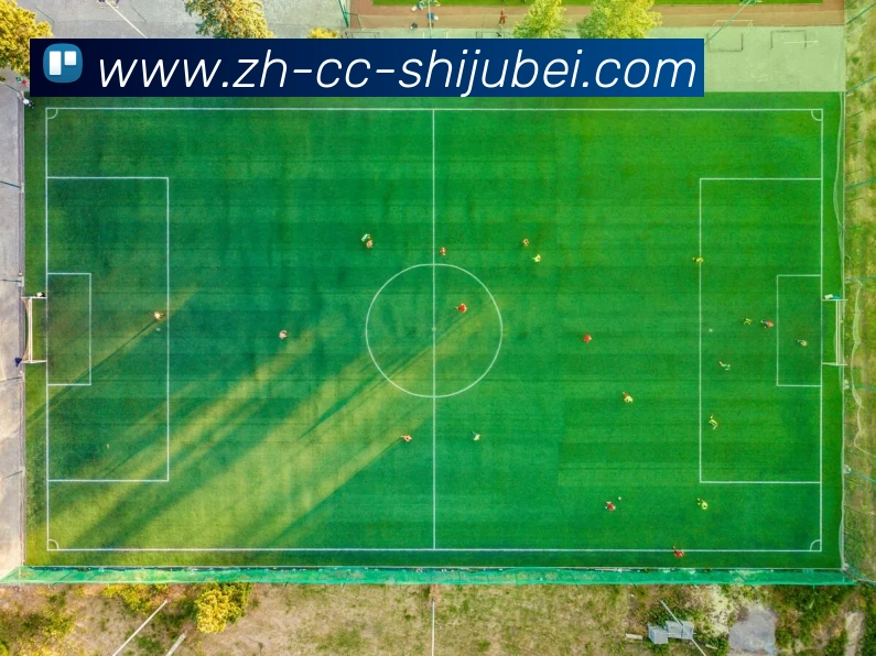 奖项图3